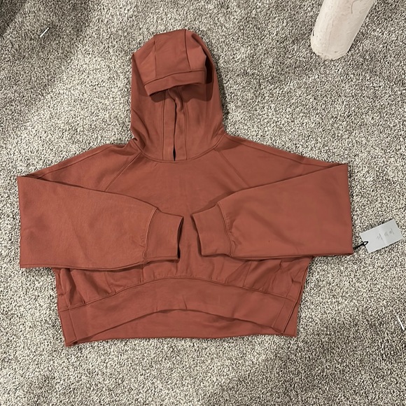 Abercrombie & Fitch Tops - BRAND NEW Crop hoodie